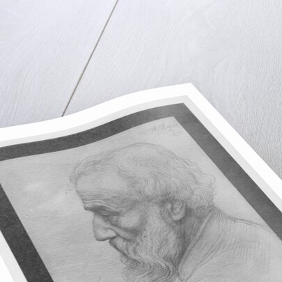 Head of an old man with long hair, 1899 by Alphonse Legros