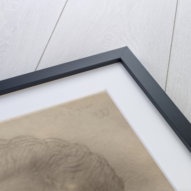 Leonce Benedite, 1899 by Alphonse Legros