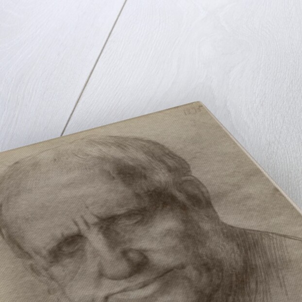 Sir Francis Seymour Haden, etcher, 1895 by Alphonse Legros