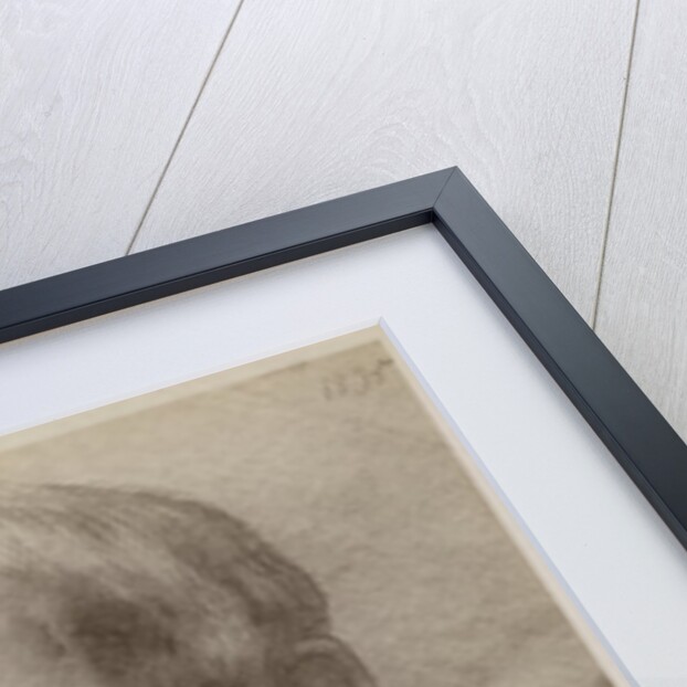 Sir Francis Seymour Haden, etcher, 1895 by Alphonse Legros