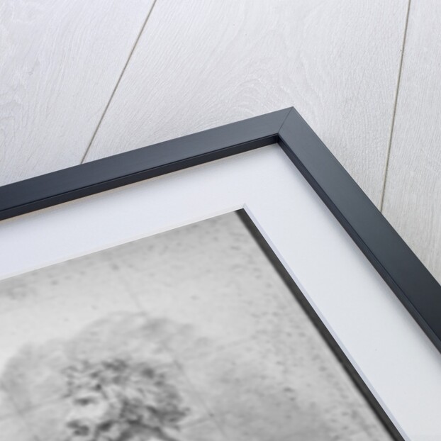 Father of the Horatii, study for 'The Oath of the Horatii', c.1785 by Jacques Louis David