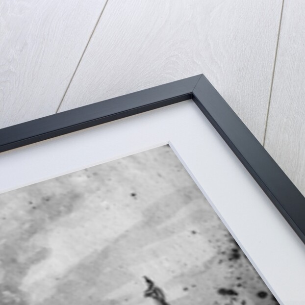 View of the Tiber near the bridge and the castle Sant'Angelo in Rome, c.1775-80 by Jacques Louis David