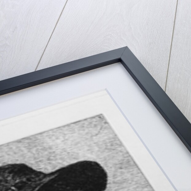 Louis Antoine Leon de Saint-Just by Jacques Louis (after) David