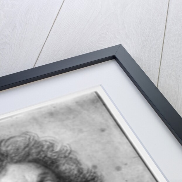 Portrait of a man, turned to the right by Charles Le Brun