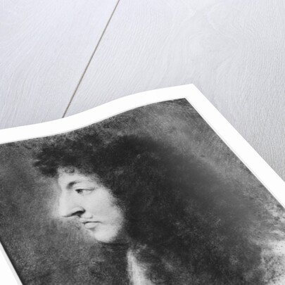 Portrait of Louis XIV, young, in profile to the left by Charles Le Brun