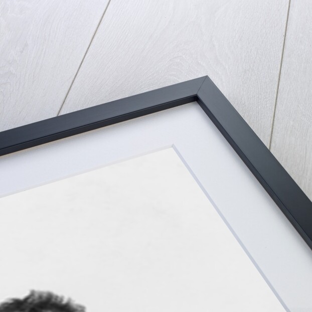 Denis Decres, Minister of Marine and the Colonies by Justine Le Suire