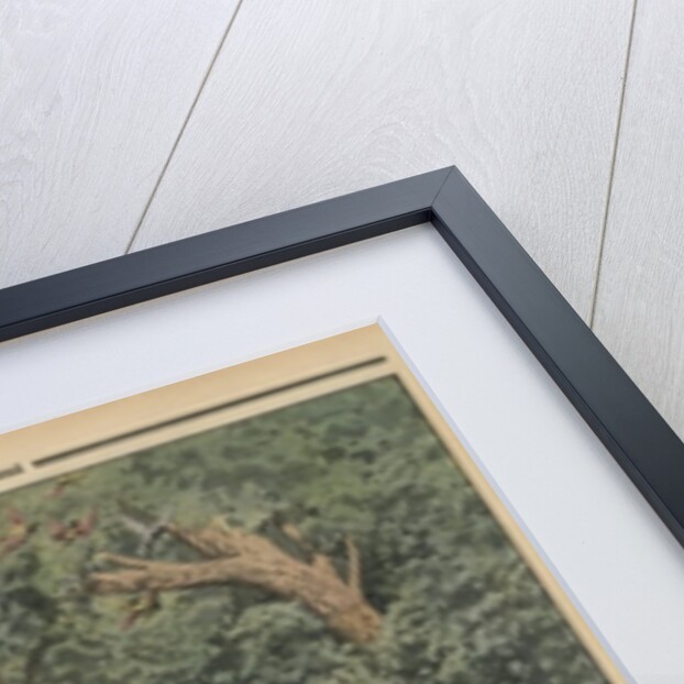 Birds' Day by French School