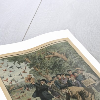 Birds' Day by French School