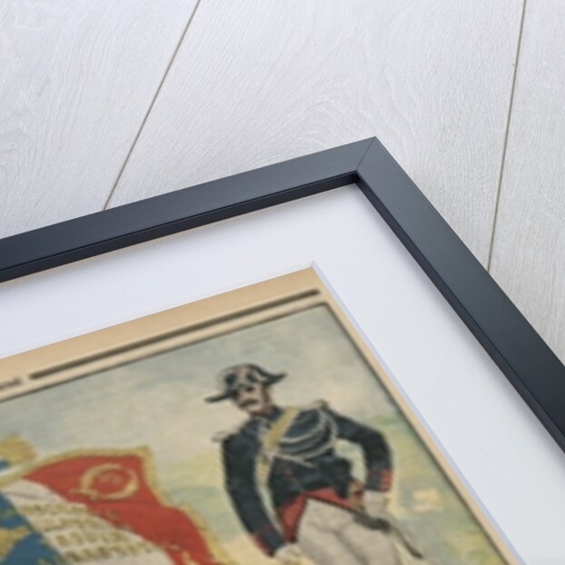 The flag of the Gendarmes by French School