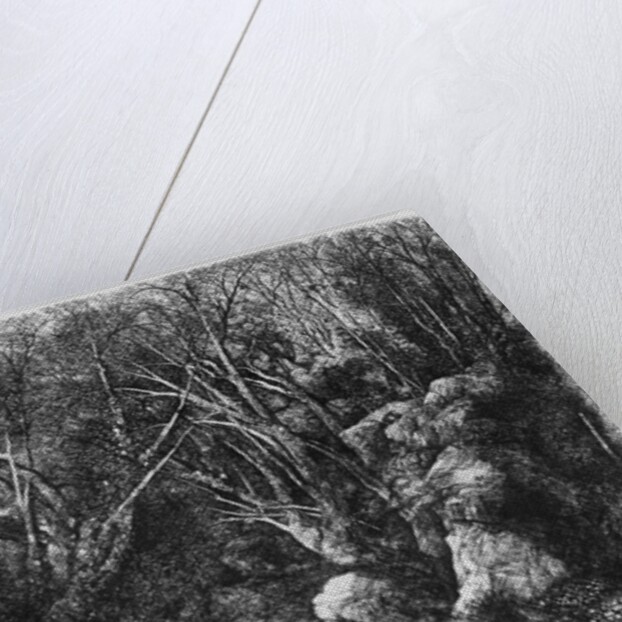 The Stream through the trees, 1880 by Rodolphe Bresdin