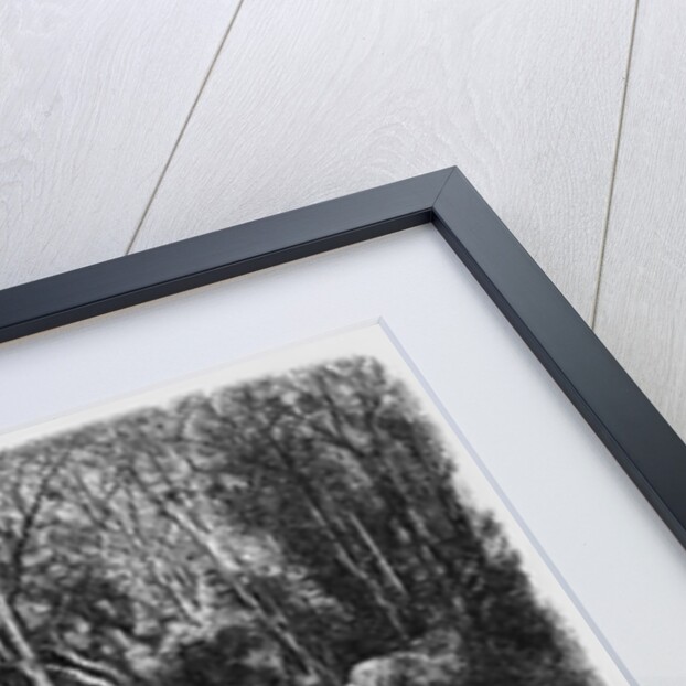 The Stream through the trees, 1880 by Rodolphe Bresdin