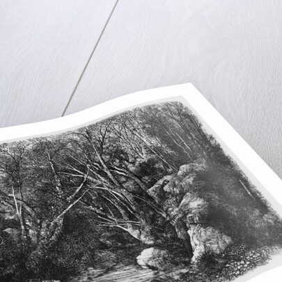 The Stream through the trees, 1880 by Rodolphe Bresdin