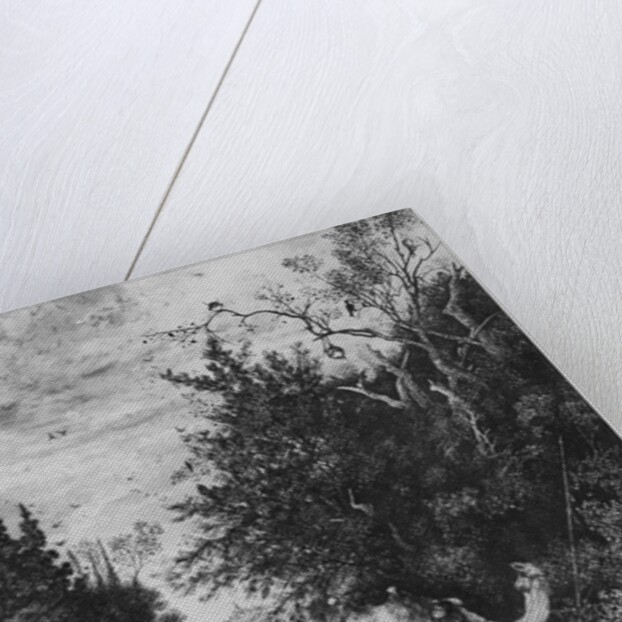 The Good Samaritan, 1860 by Rodolphe Bresdin