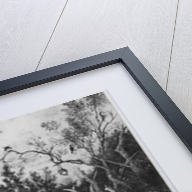 The Good Samaritan, 1860 by Rodolphe Bresdin