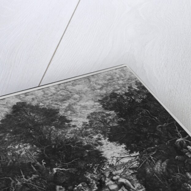 The Good Samaritan, 1861 by Rodolphe Bresdin