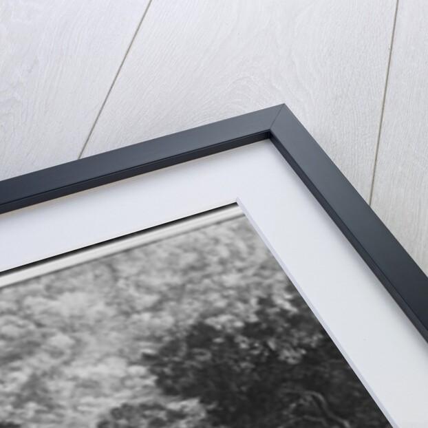 The Good Samaritan, 1861 by Rodolphe Bresdin