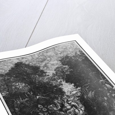 The Good Samaritan, 1861 by Rodolphe Bresdin