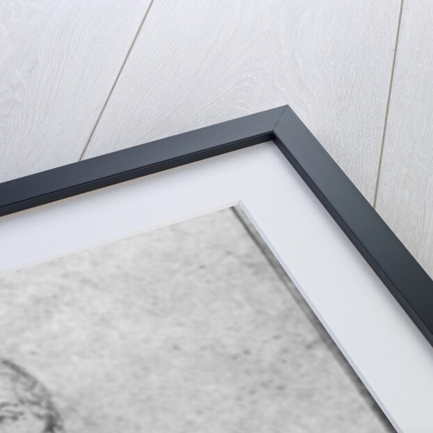 Portrait of Alphonse de Lamartine, 1844 by Theodore Chasseriau