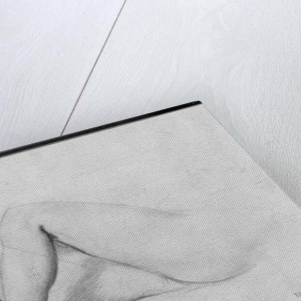 Study of legs by Theodore Chasseriau