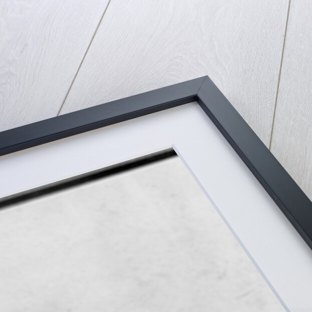 Study of legs by Theodore Chasseriau