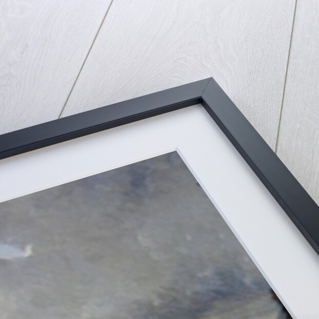 Carnival in the Place de la Concorde, Paris, c.1845 by Ernest Seigneurgens