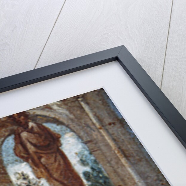 Rhetoric by Cornelius I Schut