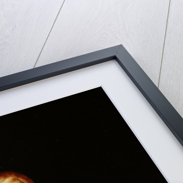 Portrait of a woman, c.1646-56 by David the Younger Teniers