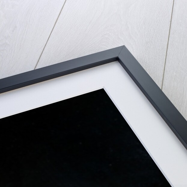 The Discovery of the Bodies of Pyramus and Thisbe, c.1630-35 by Leonard Bramer