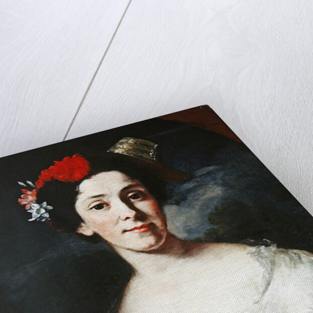 Portrait of a Woman, or The Music, c.1750-65 by Giuseppe Bonito