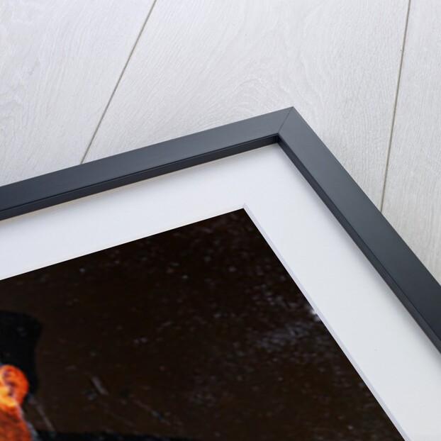 Portrait of Florentine collector Vincenzo Borghini by Italian School