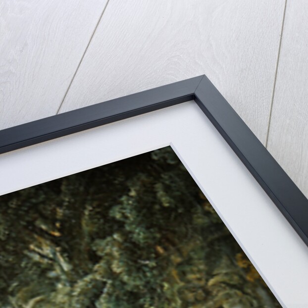 Obedience Rewarded, or The Education of a Dog, 1768 by Francois Boucher