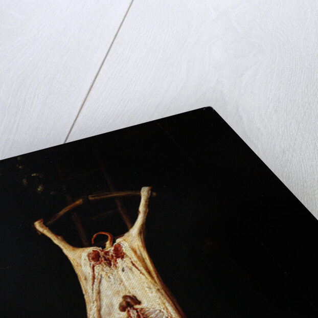 Flayed Pig by Adriaen Jansz. van Ostade