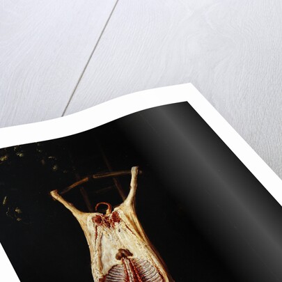 Flayed Pig by Adriaen Jansz. van Ostade