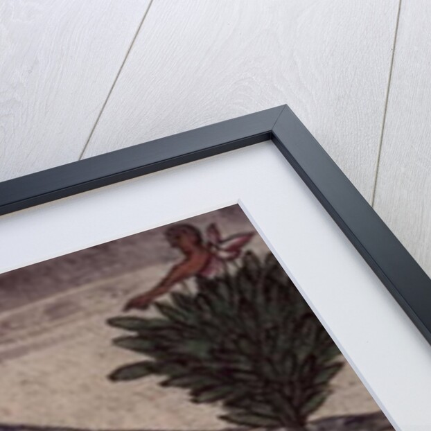 An Indian spy observes the arrival of a Spanish ship on the Mexican coast, 1579 by Diego Duran