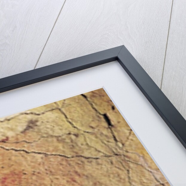 Bison from the Caves at Altamira, c.15000 BC by Prehistoric Prehistoric