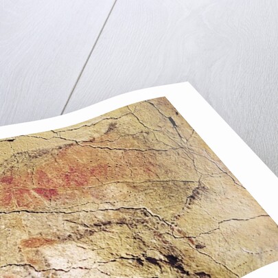 Bison from the Caves at Altamira, c.15000 BC by Prehistoric Prehistoric