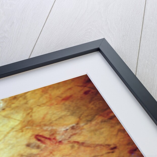 Stag from the Caves of Altamira, c.15,000 BC by Prehistoric Prehistoric