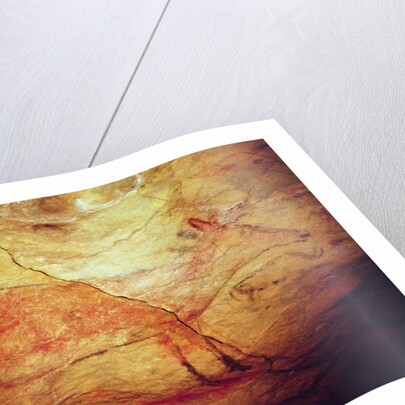 Stag from the Caves of Altamira, c.15,000 BC by Prehistoric Prehistoric