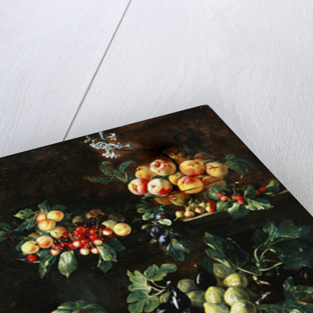 Fruits by Giovanni Brugnoli or Bagnoli