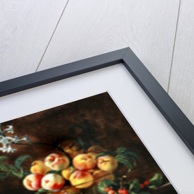 Fruits by Giovanni Brugnoli or Bagnoli