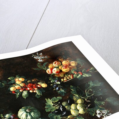 Fruits by Giovanni Brugnoli or Bagnoli