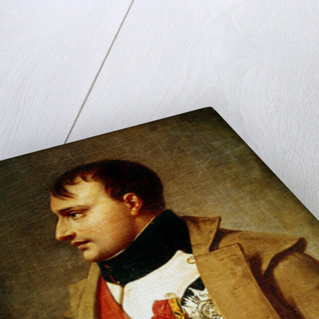 Detail of Napoleon meeting Francis II after the Battle of Austerlitz, c.1812 by Baron Antoine Jean Gros