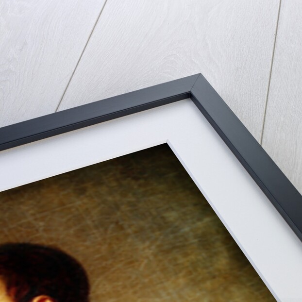 Detail of Napoleon meeting Francis II after the Battle of Austerlitz, c.1812 by Baron Antoine Jean Gros