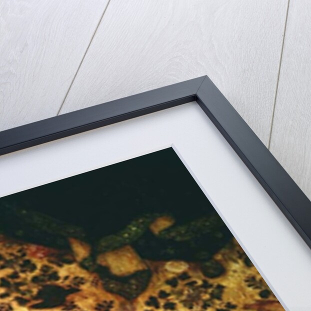 Madonna with a Rose Bush by Stefano di Giovanni da Verona