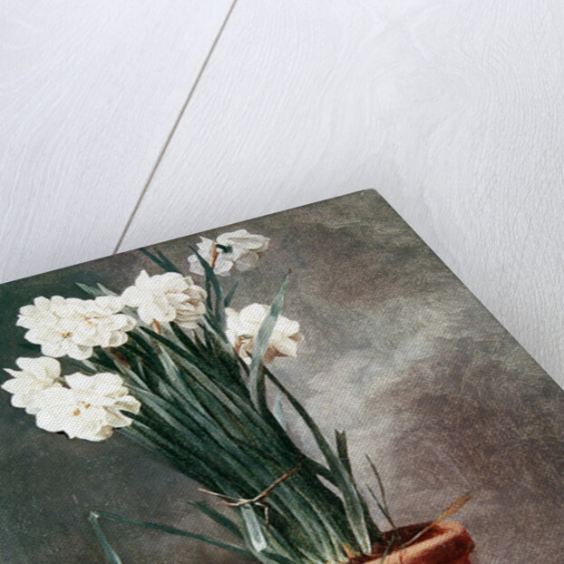 Narcissus and Radishes by Henri Roland de la Porte