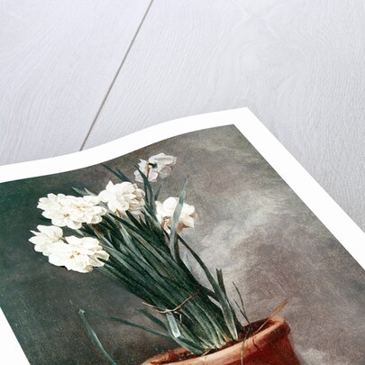 Narcissus and Radishes by Henri Roland de la Porte