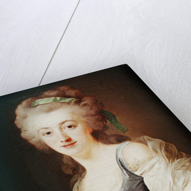 Portrait of Anne Vallayer-Coster, 1783 by Alexander Roslin