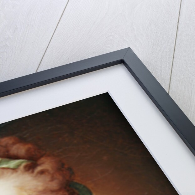 Portrait of Anne Vallayer-Coster, 1783 by Alexander Roslin