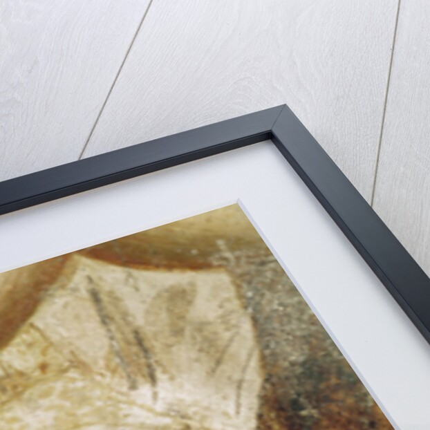 Head of the cripple, from St. Peter Healing with his Shadow, c.1427 by Tommaso Masaccio