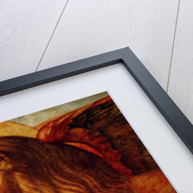 Detail of the Lion of St. Mark, 1516 by Vittore Carpaccio